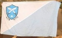 [flag with logo 2]